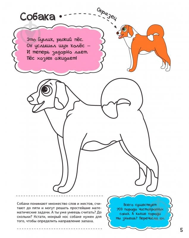 Раскраска Анна Алешичева «У бабушки в деревне» 978-617-690-812-8 - фото 4 Раскраска Анна Алешичева «У бабушки в деревне» 978-617-690-812-8 - фото 4