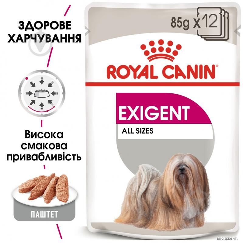 Паштет консервований для собак, вибагливих до корму Royal Canin EXIGENT 85 г - фото 1