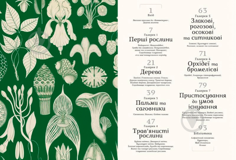 Книга Кеси Уиллис «Ботанікум» 978-617-679-632-9 - фото 2