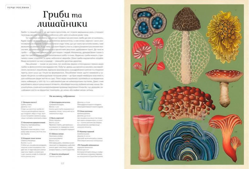 Книга Кеси Уиллис «Ботанікум» 978-617-679-632-9 - фото 5