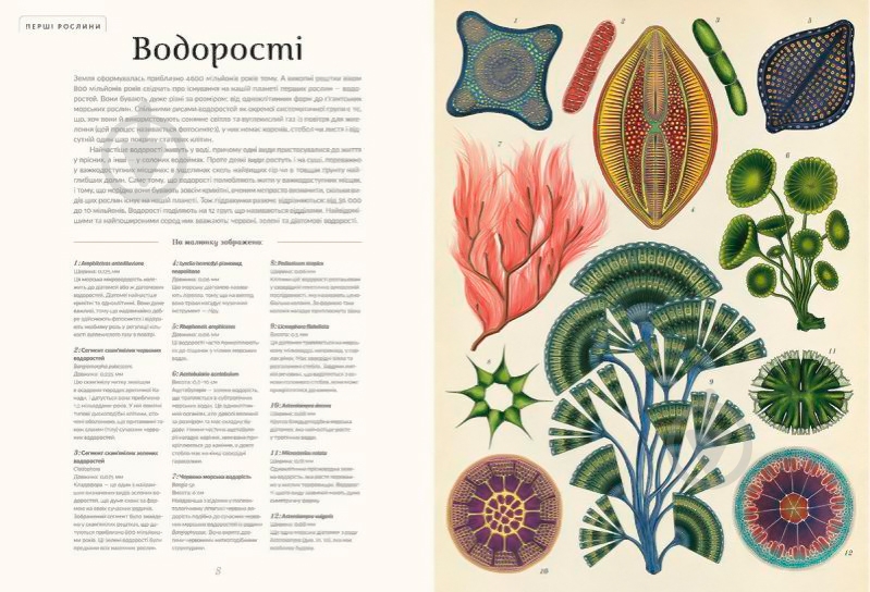 Книга Кеси Уиллис «Ботанікум» 978-617-679-632-9 - фото 3
