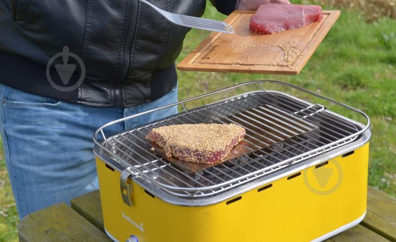 Гриль угольный Barbecook Carlo 2235925000 - фото 4