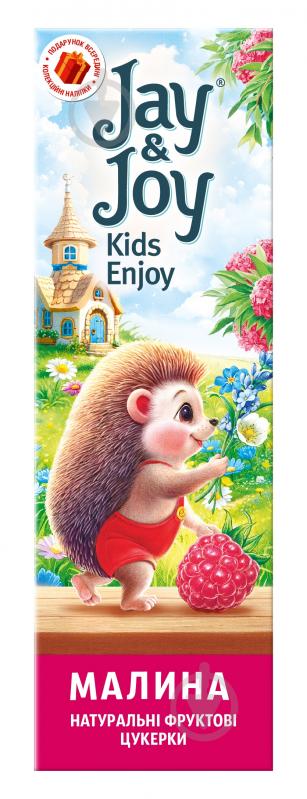 Пастила Jay&Joy фруктовая малиновая 32 г - фото 2