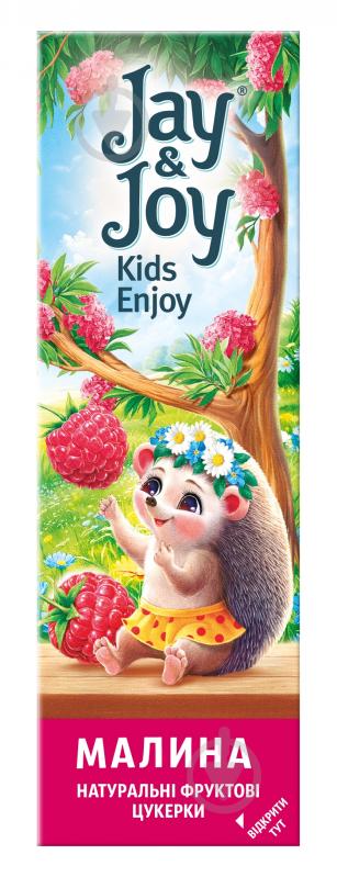 Пастила Jay&Joy фруктовая малиновая 32 г - фото 1