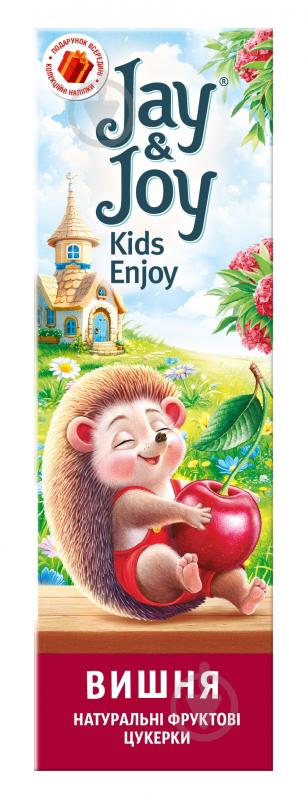 Пастила Jay&Joy фруктовая вишневая 32 г - фото 2 Пастила Jay&Joy фруктовая вишневая 32 г - фото 2