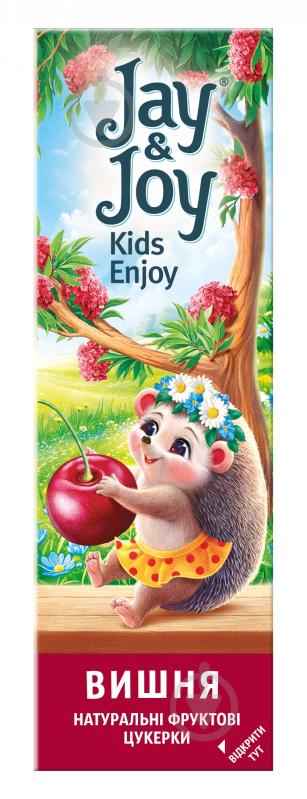 Пастила Jay&Joy фруктовая вишневая 32 г - фото 1 Пастила Jay&Joy фруктовая вишневая 32 г - фото 1