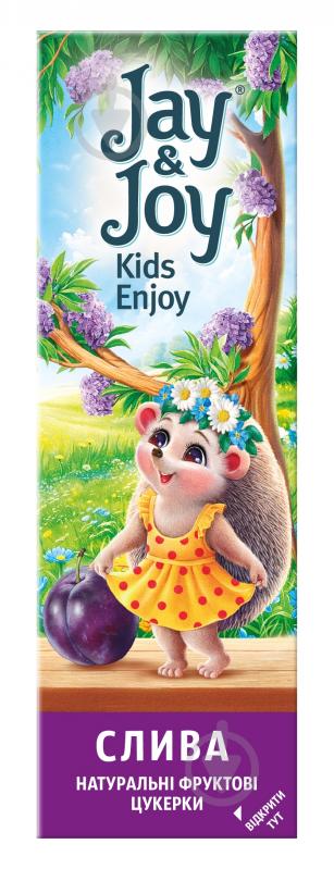 Пастила Jay&Joy фруктовая сливовая 32 г - фото 1