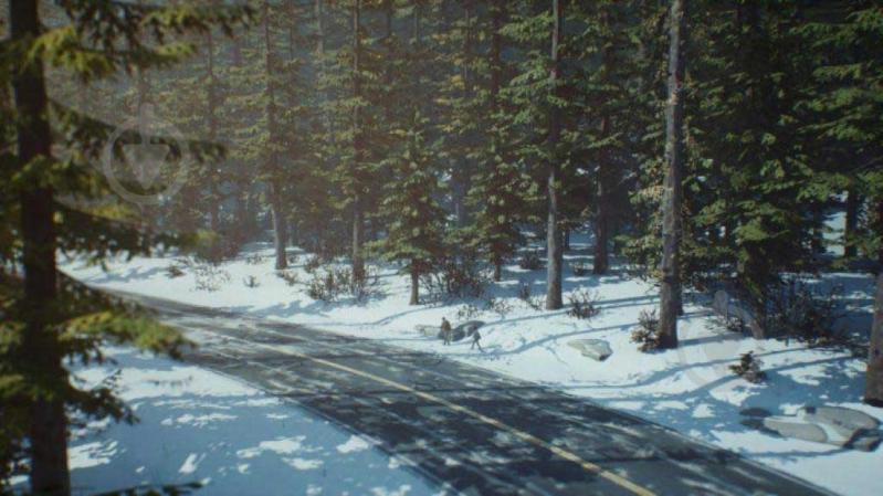 Игра Sony Life is Strange 2 [PS4, English version] - фото 3