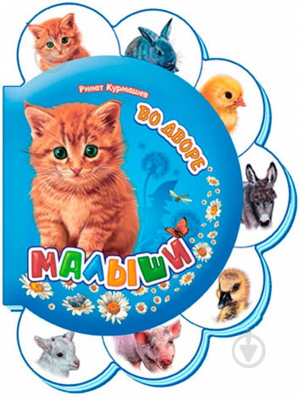 Книга Ринат Курмашев «Во дворе» 978-966-31-4465-8 - фото 1