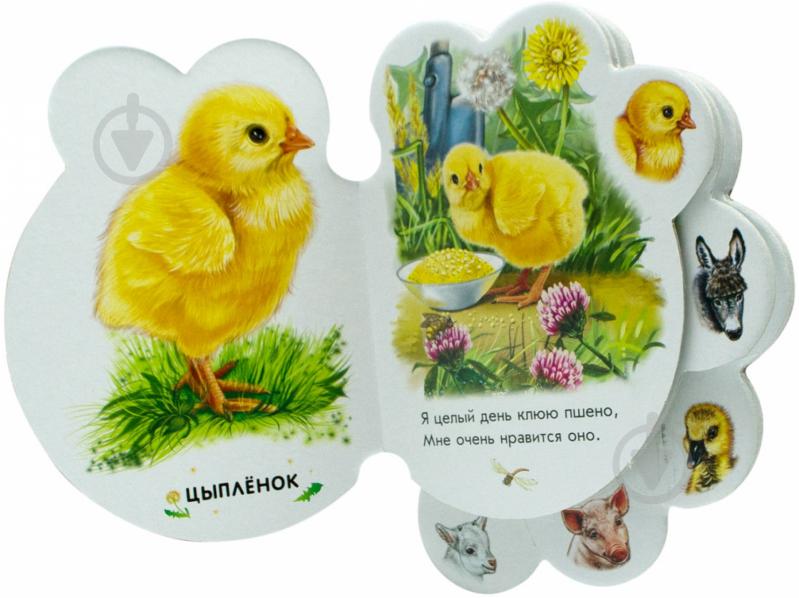 Книга Ринат Курмашев «Во дворе» 978-966-31-4465-8 - фото 2