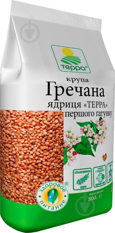Крупа гречневая ТЕРРА первого сорта 800 г - фото 1 Крупа гречневая ТЕРРА первого сорта 800 г - фото 1