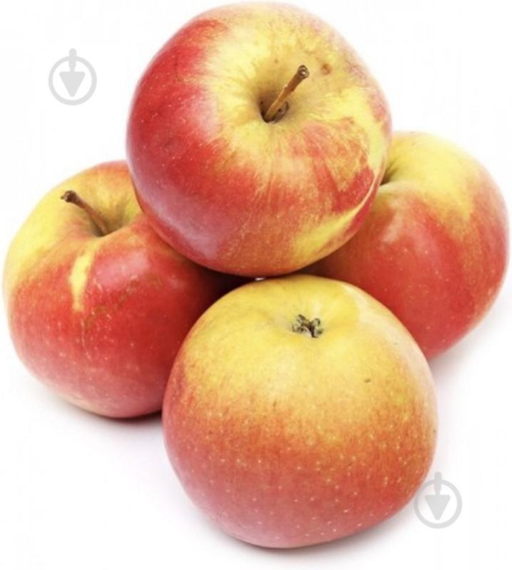 Яблоко Айдаред - фото 1 Яблоко Айдаред - фото 1