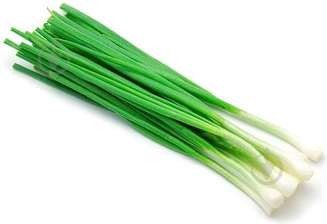 Лук зеленый весовая - фото 1