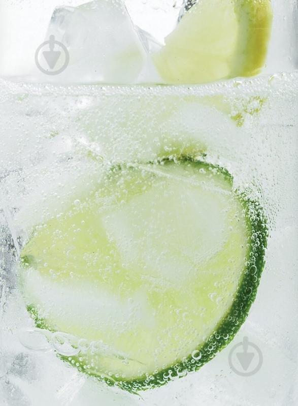 Форма для льда Lekue Ice & Ice Trays 882487 - фото 9 Форма для льда Lekue Ice & Ice Trays 882487 - фото 9