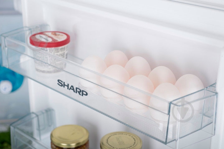 Холодильник Sharp SJ-BB04DTXW1 - фото 18