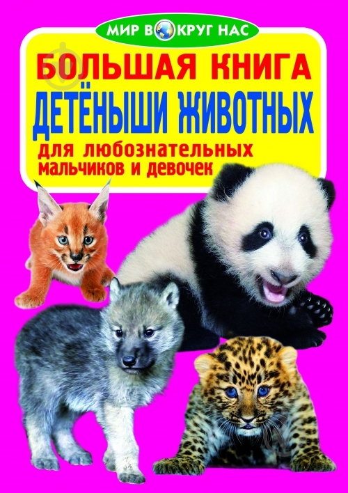 Книга Олег Завязкин «Большая книга. Детёныши животных» 978-617-08-0459-4 - фото 1