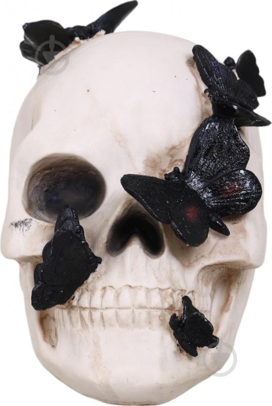 Статуэтка Koopman Skull with Butterfly 13х19х19 см APF952130 19х13х19 см бежевый - фото 1