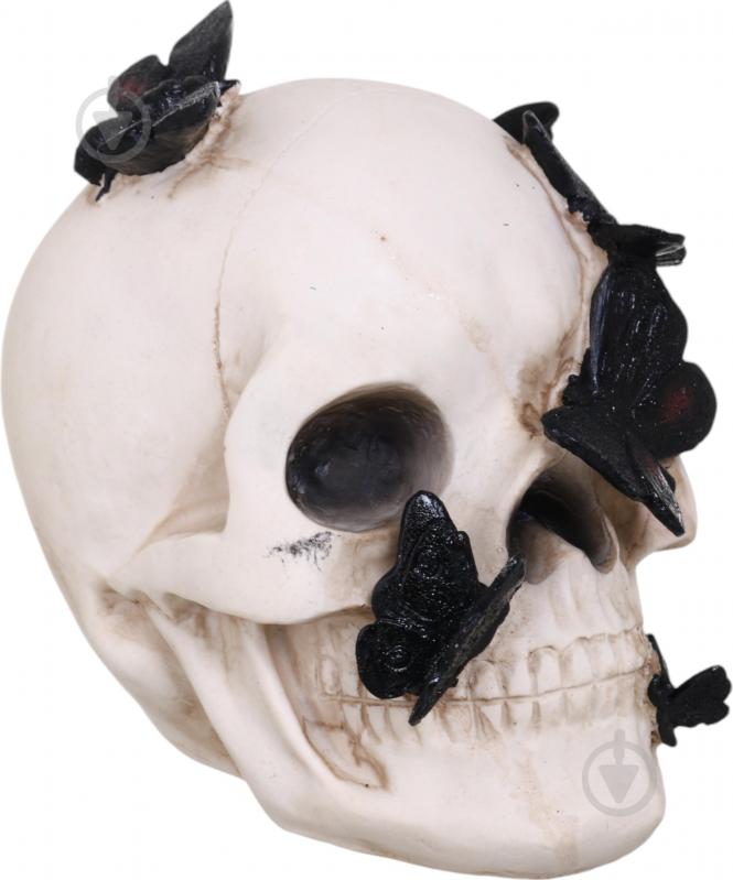 Статуэтка Koopman Skull with Butterfly 13х19х19 см APF952130 19х13х19 см бежевый - фото 2