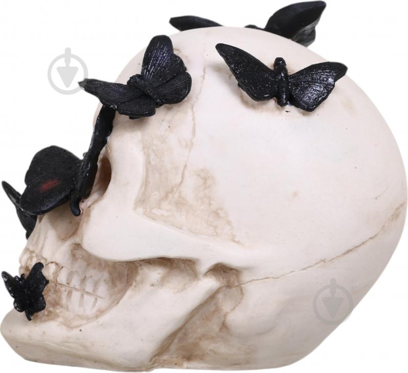 Статуэтка Koopman Skull with Butterfly 13х19х19 см APF952130 19х13х19 см бежевый - фото 3