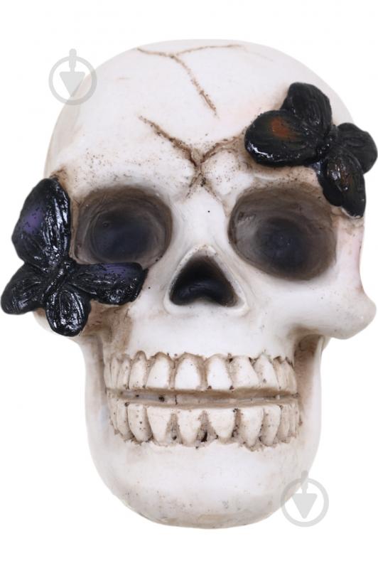 Статуэтка Skull with Butterfly 7х9х8 см APF952120 Koopman - фото 4