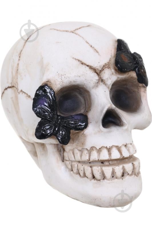 Статуэтка Skull with Butterfly 7х9х8 см APF952120 Koopman - фото 5