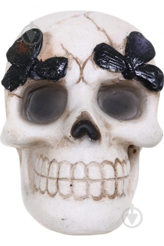 Статуэтка Skull with Butterfly 7х9х8 см APF952120 Koopman - фото 6