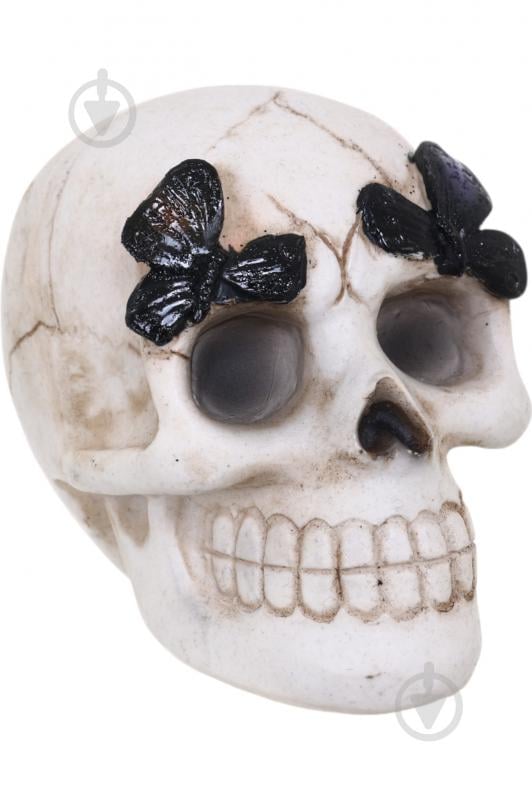 Статуэтка Skull with Butterfly 7х9х8 см APF952120 Koopman - фото 7