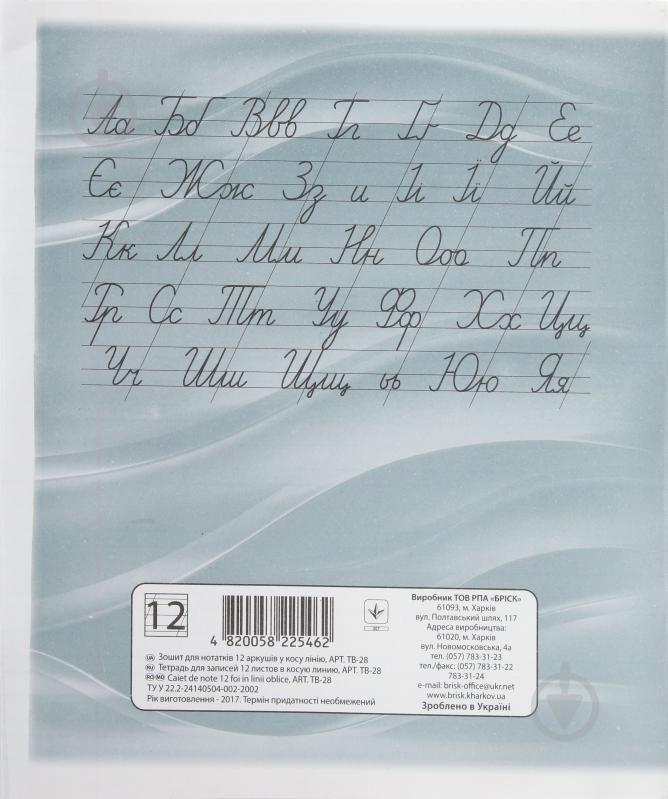 Зошит шкільний 12 аркушів коса лінія Економ Бріск - фото 2