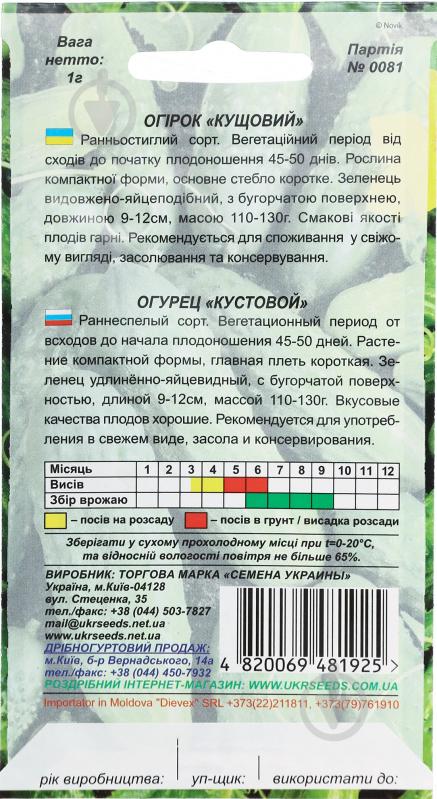 Насіння огірок Кущовий 1 г Насіння України - фото 2 Насіння огірок Кущовий 1 г Насіння України - фото 2