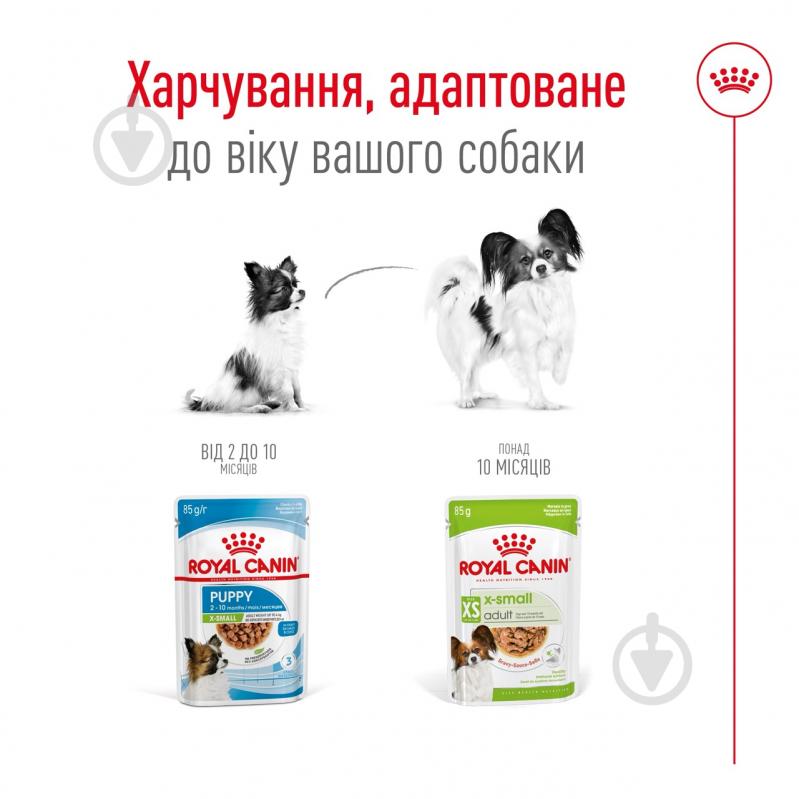 Корм влажный для собак для малых пород Royal Canin X-Small Adult Gravy 85 г - фото 4