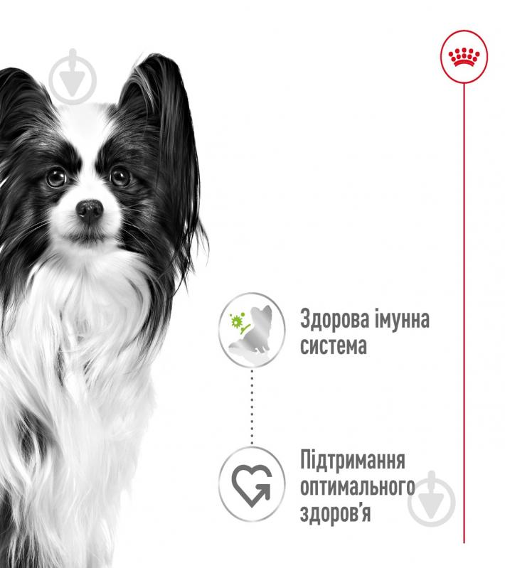 Корм влажный для собак для малых пород Royal Canin X-Small Adult Gravy 85 г - фото 2