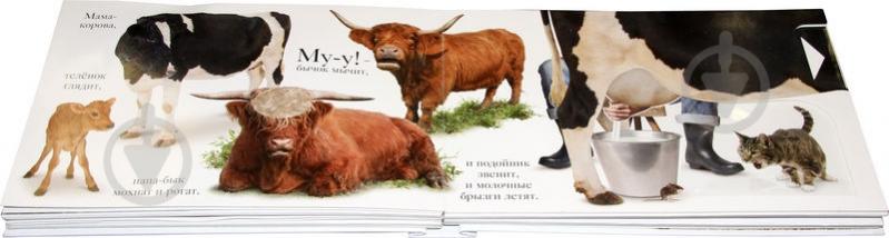 Книга Мэтью Ван Флит «Хрю» 978-5-389-06435-5 - фото 4 Книга Мэтью Ван Флит «Хрю» 978-5-389-06435-5 - фото 4