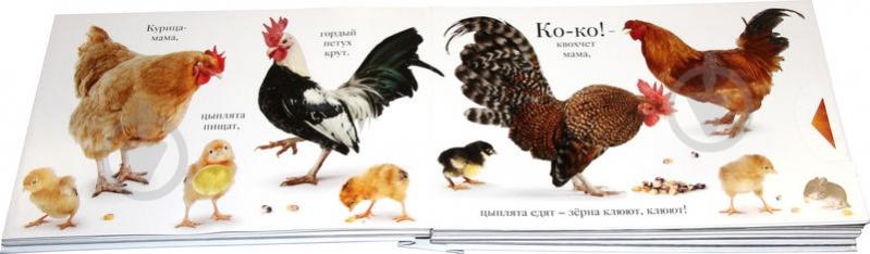 Книга Мэтью Ван Флит «Хрю» 978-5-389-06435-5 - фото 2 Книга Мэтью Ван Флит «Хрю» 978-5-389-06435-5 - фото 2