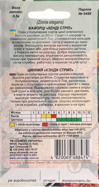 Семена Насіння України цинния Кэнди стрип 0,5 г - фото 2 Семена Насіння України цинния Кэнди стрип 0,5 г - фото 2