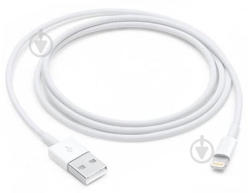 Дата-кабель Apple Lightning – USB 1 м белый (MXLY2ZM/A) - фото 1