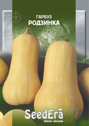 Насіння гарбуз Родзинка 20 г SeedEra - фото 1