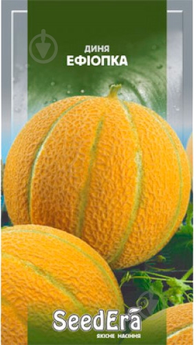 Насіння SeedEra диня Ефіопка 2 г (4823073724989) - фото 1