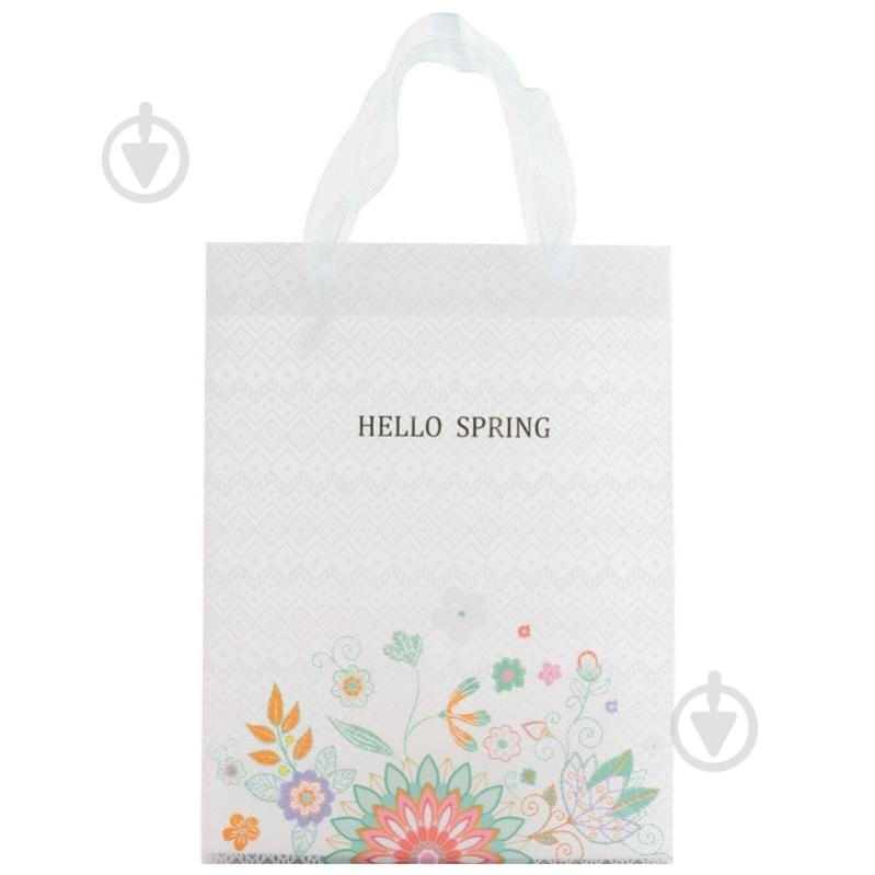 Пакет подарочный 25х19 см Hello Spring 03 - фото 1 Пакет подарочный 25х19 см Hello Spring 03 - фото 1