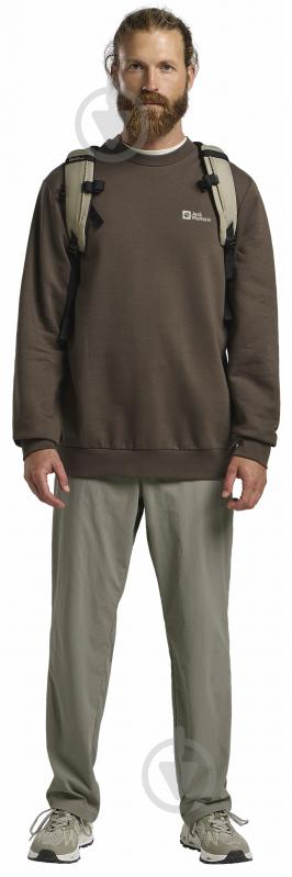 Світшот Jack Wolfskin ESSENTIAL CREWNECK M A63843_5719 р.L - фото 4