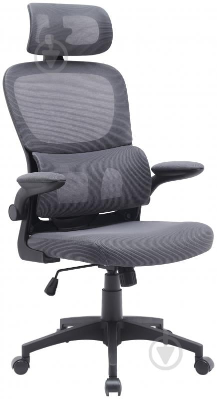Кресло офисное Ergomix TORSO Grey (LY-8018H-BK) серый - фото 1