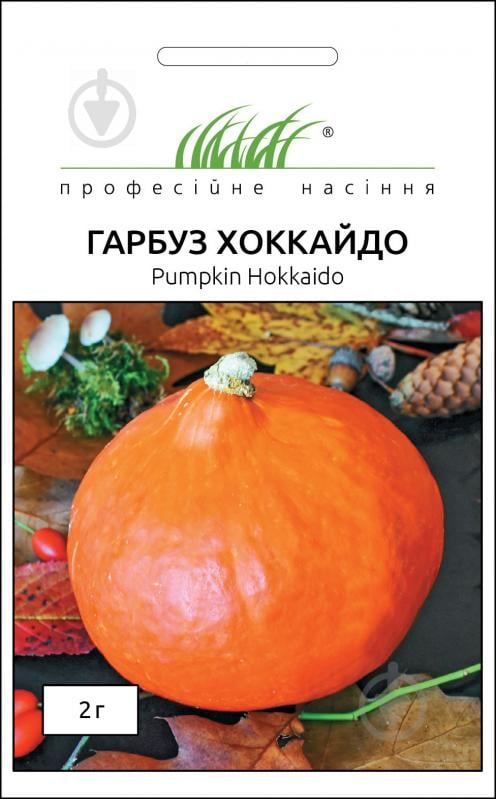 Насіння Професійне насіння гарбуз Хоккайдо 2 г - фото 1