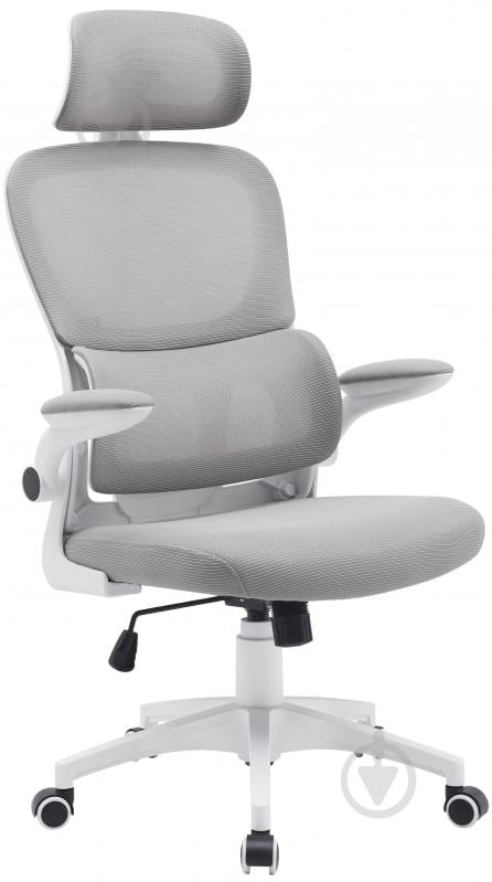 Крісло офісне Ergomix TORSO Light Grey (LY-8018H-WT) світло-сірий - фото 1 Крісло офісне Ergomix TORSO Light Grey (LY-8018H-WT) світло-сірий - фото 1