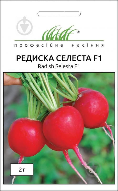 Семена Професійне насіння редис Селеста F1 2 г - фото 1