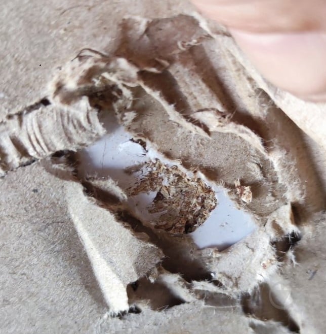 УЦІНКА! Корпус шафи Грейд ш-к ФЛЕКС тип №7 1500х2380х540 мм білий (УЦ №2875) - фото 6 УЦІНКА! Корпус шафи Грейд ш-к ФЛЕКС тип №7 1500х2380х540 мм білий (УЦ №2875) - фото 6