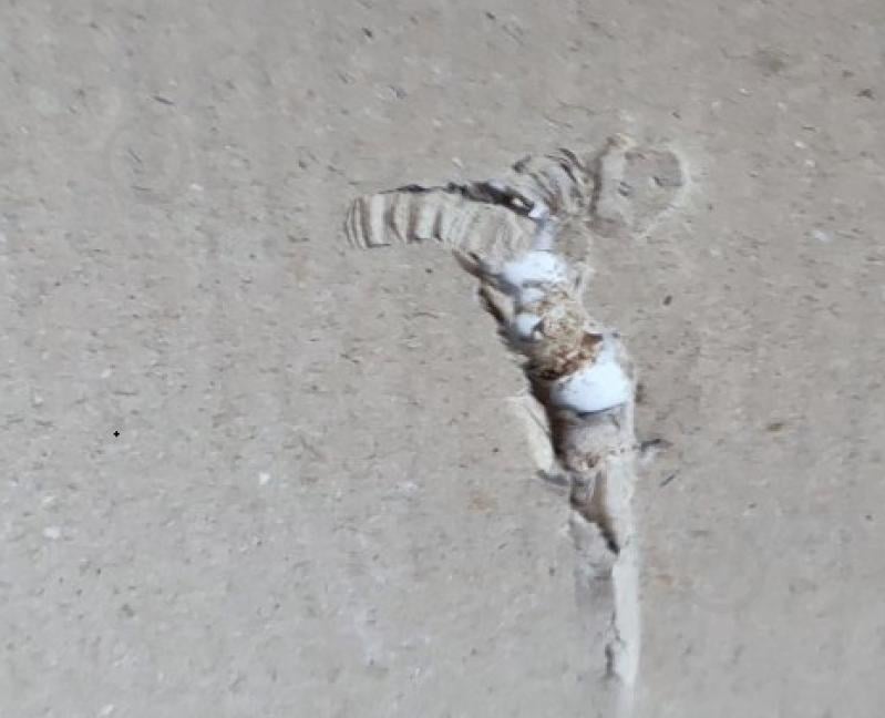 УЦІНКА! Корпус шафи Грейд ш-к ФЛЕКС тип №7 1500х2380х540 мм білий (УЦ №2875) - фото 7 УЦІНКА! Корпус шафи Грейд ш-к ФЛЕКС тип №7 1500х2380х540 мм білий (УЦ №2875) - фото 7