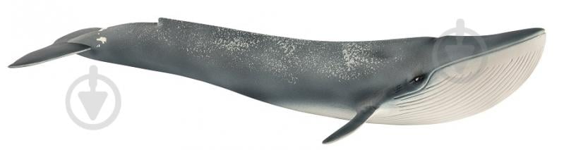 Фигурка Schleich Синий кит 14806 - фото 1