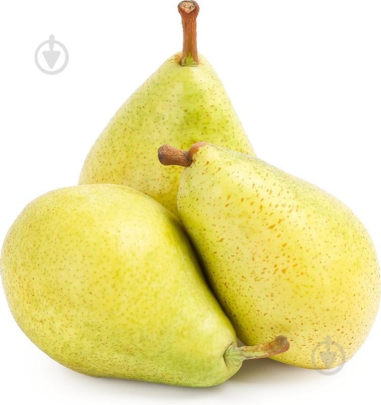 Груша Рикс - фото 1