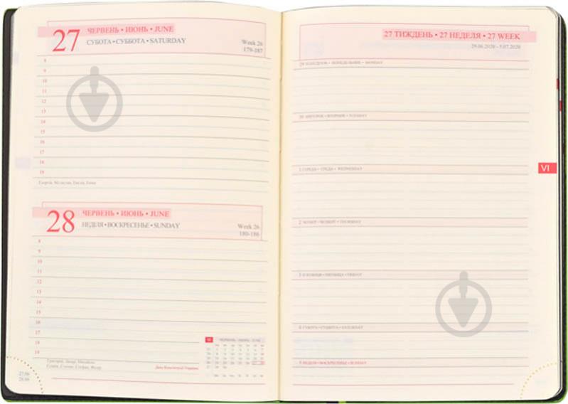 Дневник недатированный линия Leo Planner Destiny A5 251950 - фото 5