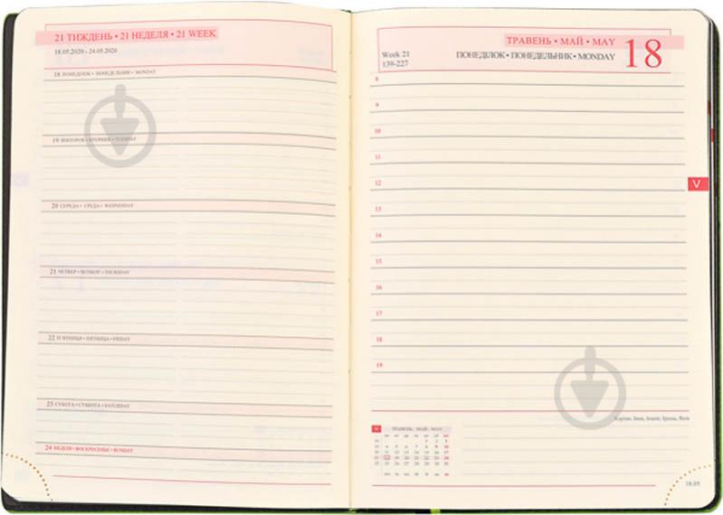 Дневник недатированный линия Leo Planner Destiny A5 251950 - фото 6