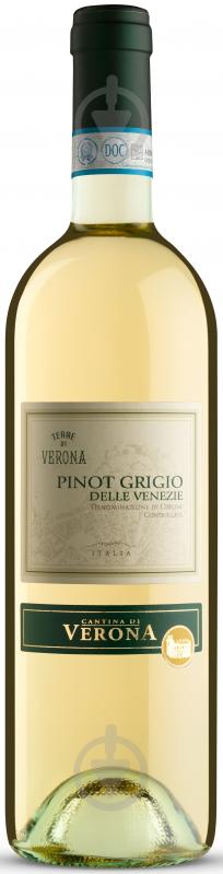 Вино Cantina di Verona Terre di Verona Pinot Grigio delle Venezie IGT біле сухе 0,75 л - фото 1